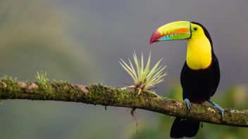 Costa Rica Paradiso Fiscale