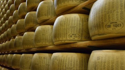 Parmigiano Reggiano : il più grande esportatore è la francese Lactaris