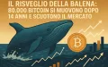 Il risveglio della balena: 80.000 Bitcoin si muovono dopo 14 anni e scuotono il mercato