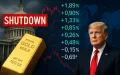 Oro a 3.800$: lo shutdown fa volare il metallo prezioso
