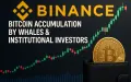 Bitcoin novembre 2025: le balene accumulano in silenzio