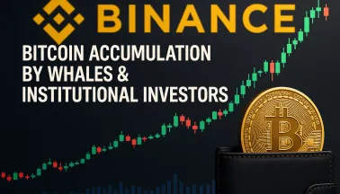 Bitcoin novembre 2025: le balene accumulano in silenzio