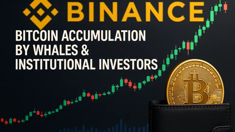 Bitcoin novembre 2025: le balene accumulano in silenzio