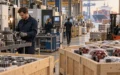 Industria europea e concorrenza cinese: la BCE vede effetti diversi tra paesi e settori
